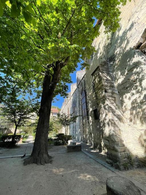 Charmant Studio, Centre Historique, Carmes Avignon Buitenkant foto